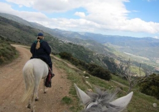 Por los senderos del monte.jpg
